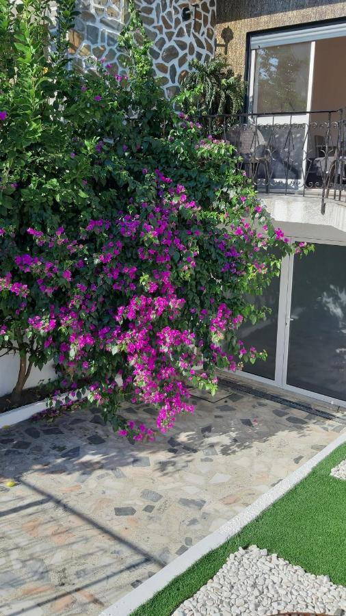Colina Guesthouse - Брага Экстерьер фото