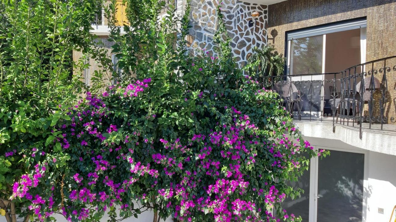 Colina Guesthouse - Брага Экстерьер фото