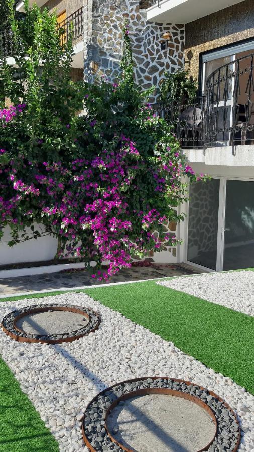 Colina Guesthouse - Брага Экстерьер фото
